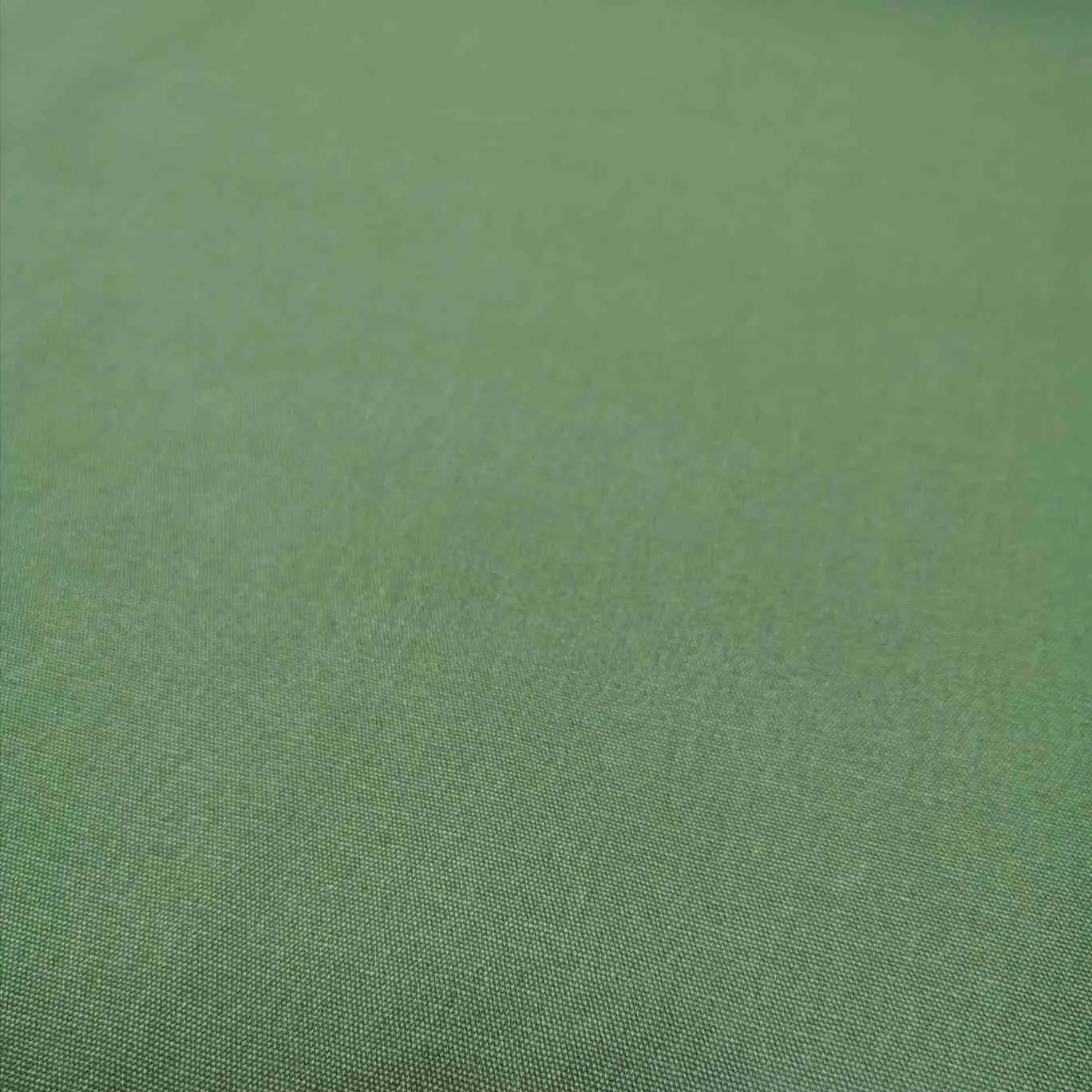 Cotton Duck, Olive - 80cm piece