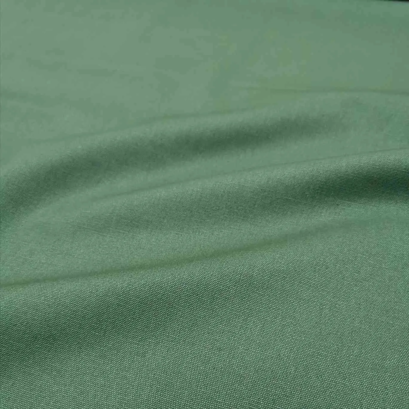 Cotton Duck, Olive - 80cm piece