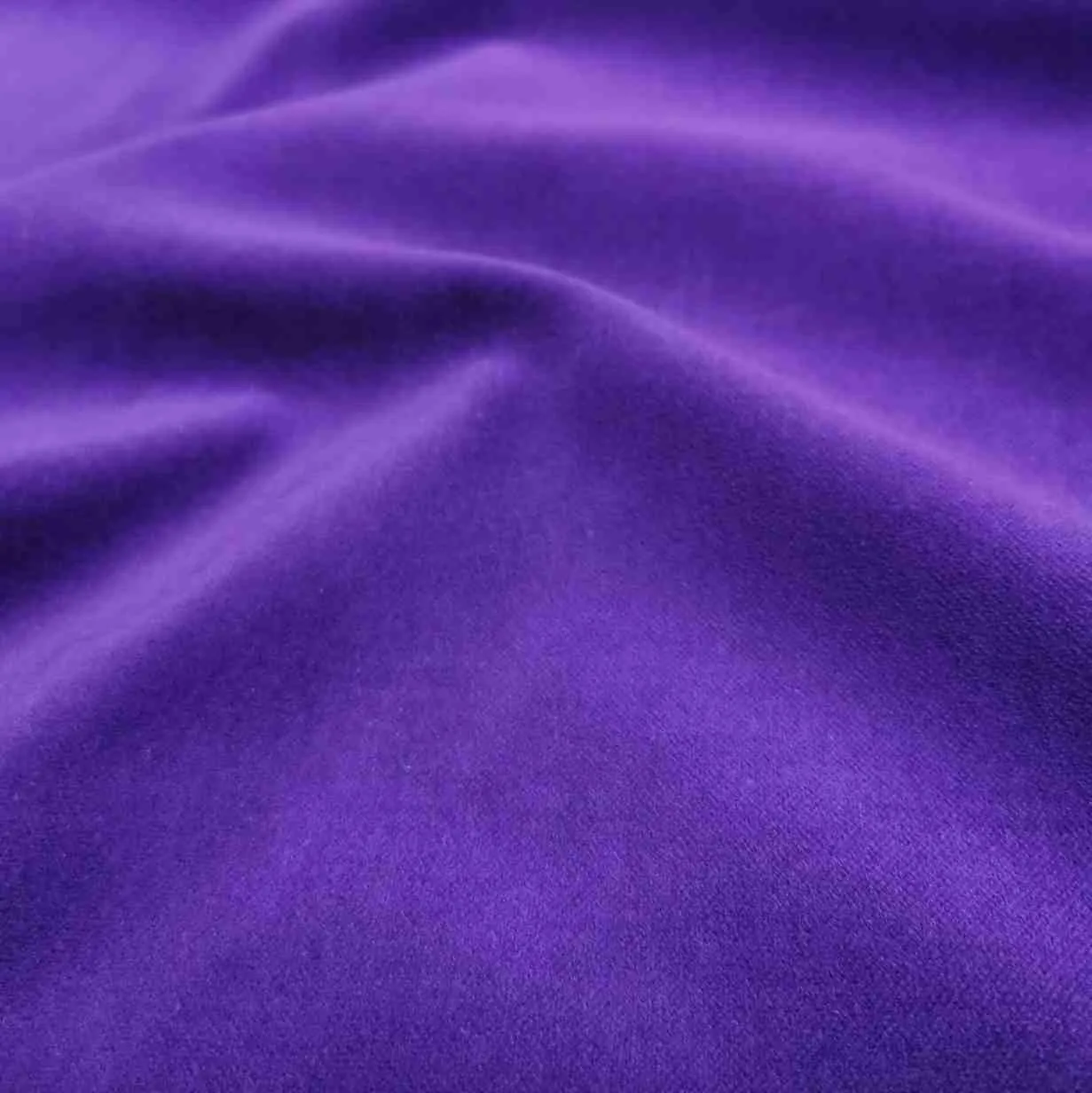 Cotton Velvet, Purple
