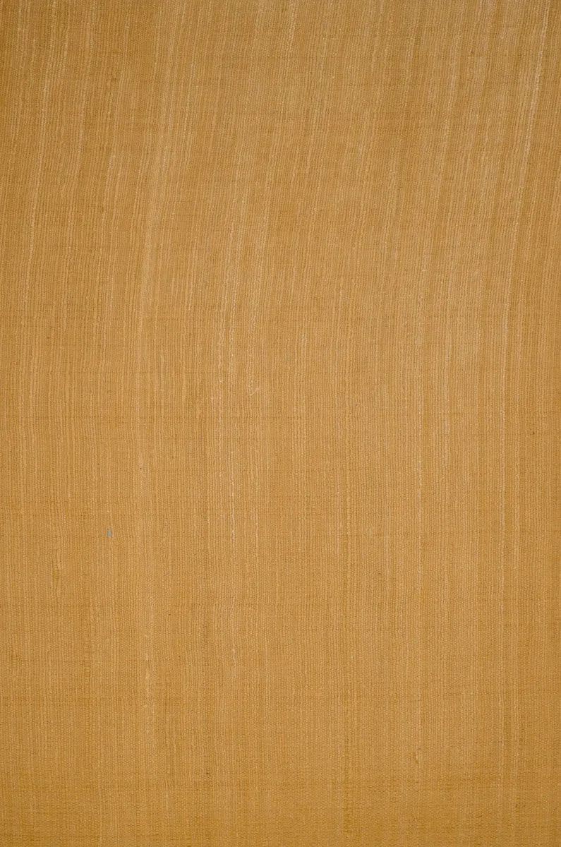 Pure Spun Silk Matka Fabric