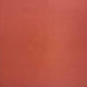 Silk Habutae, Tangelo - 1m remnant