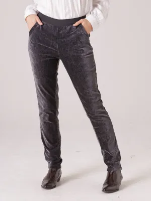 stretch velvet pant (yt23w8874)
