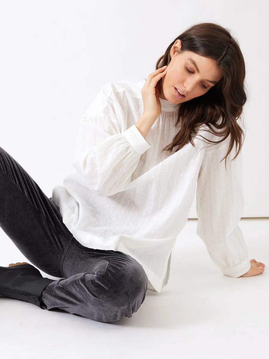 stretch velvet pant (yt23w8874)