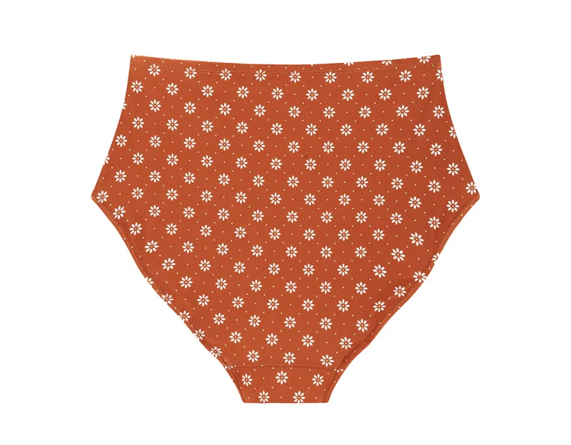 TERRA HIGH BRIEF